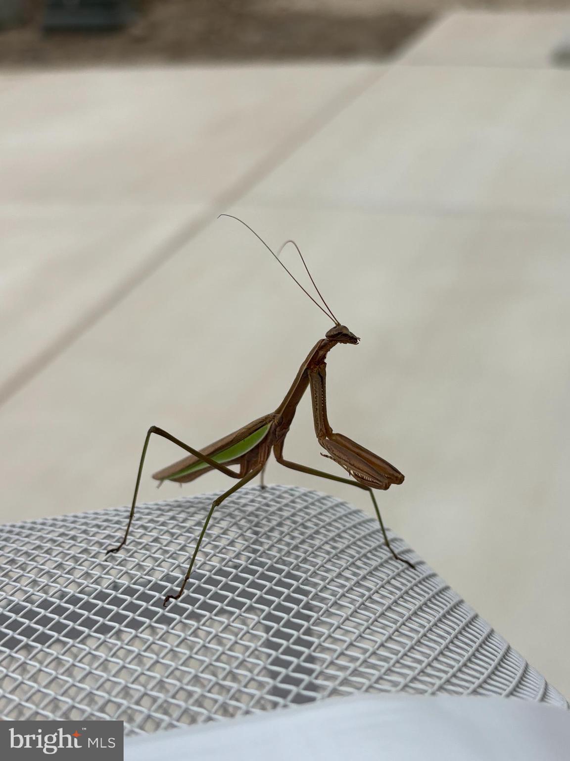 2212 WINTERBERRY LANE I