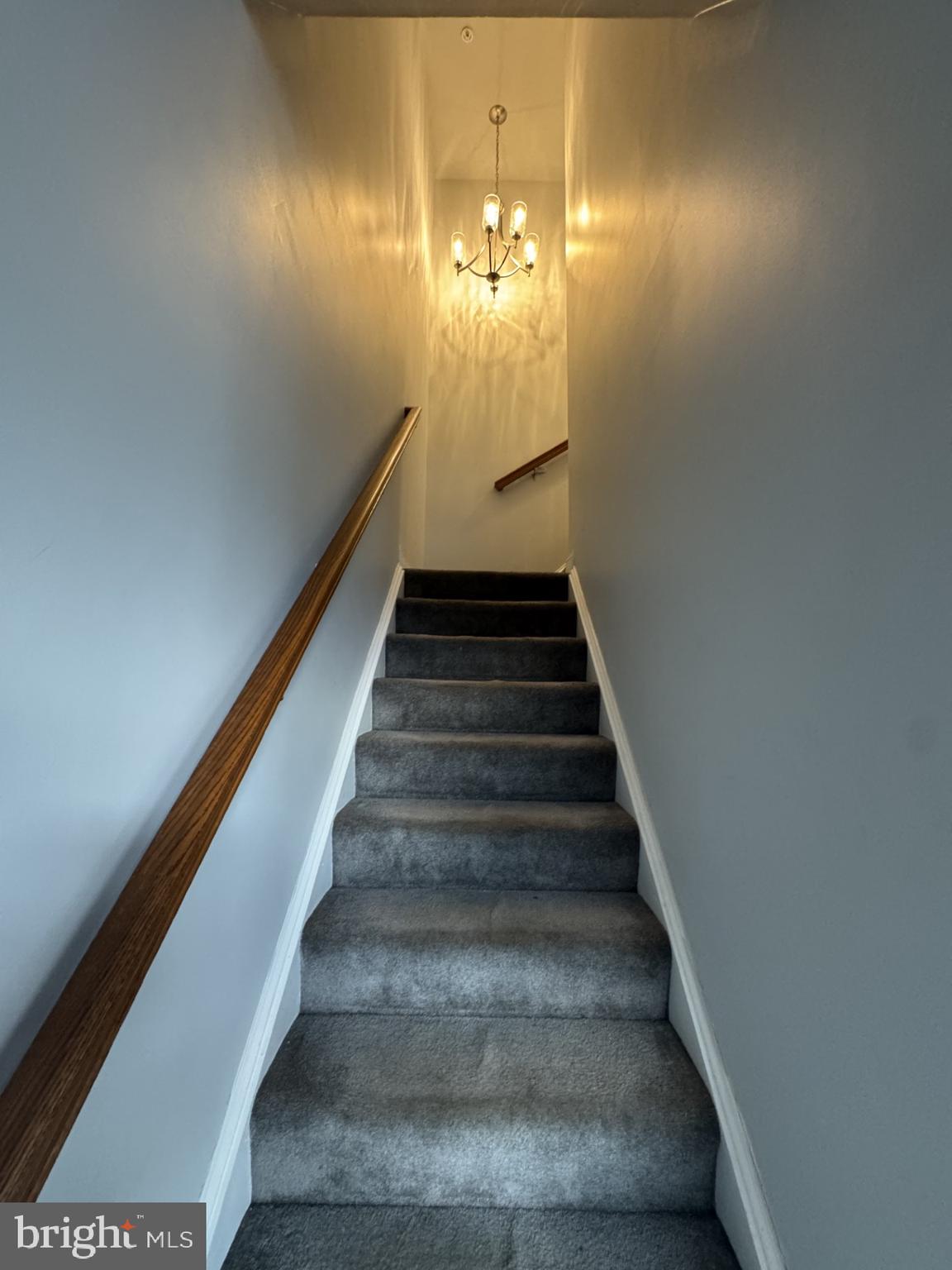 116 BLACK DUCK COURT