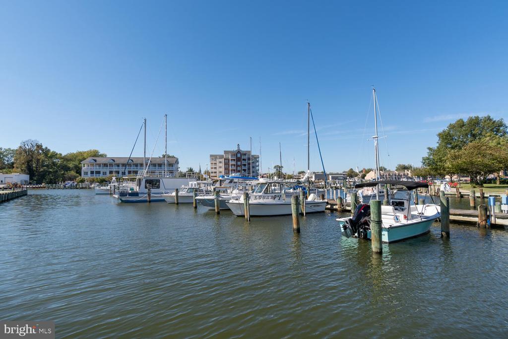 900 MARSHY COVE 411