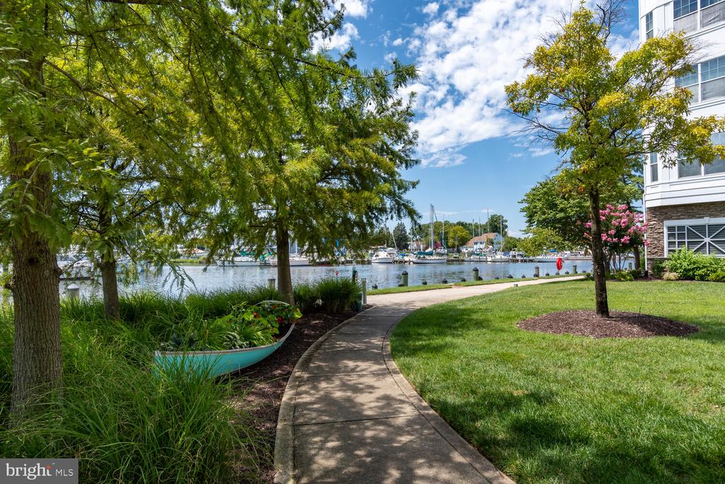 900 MARSHY COVE 411