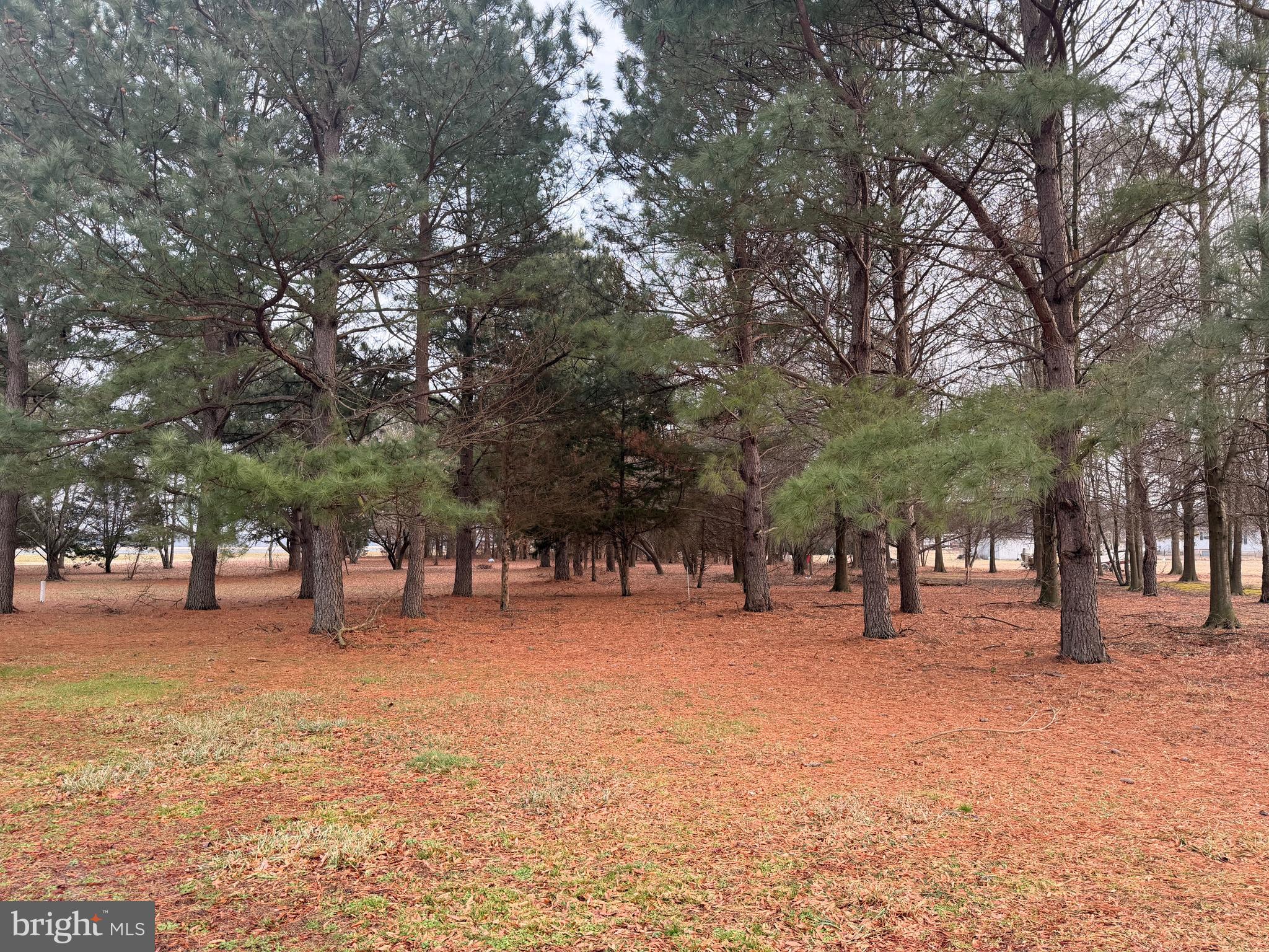 6565 CABIN RIDGE ROAD