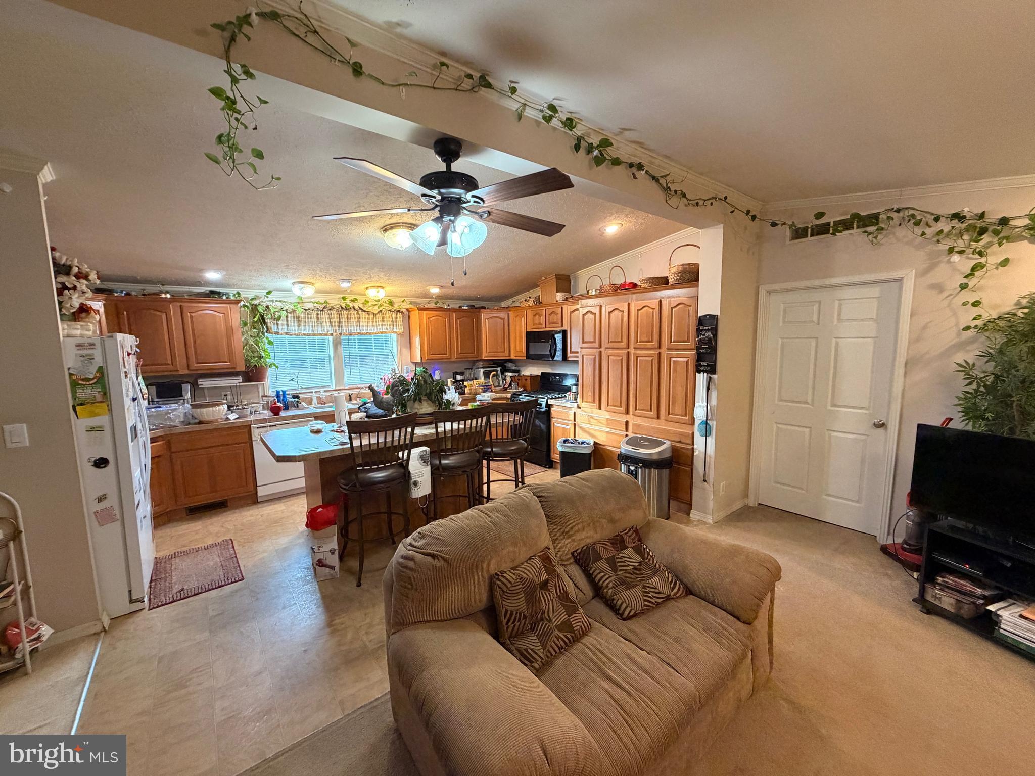 6565 CABIN RIDGE ROAD