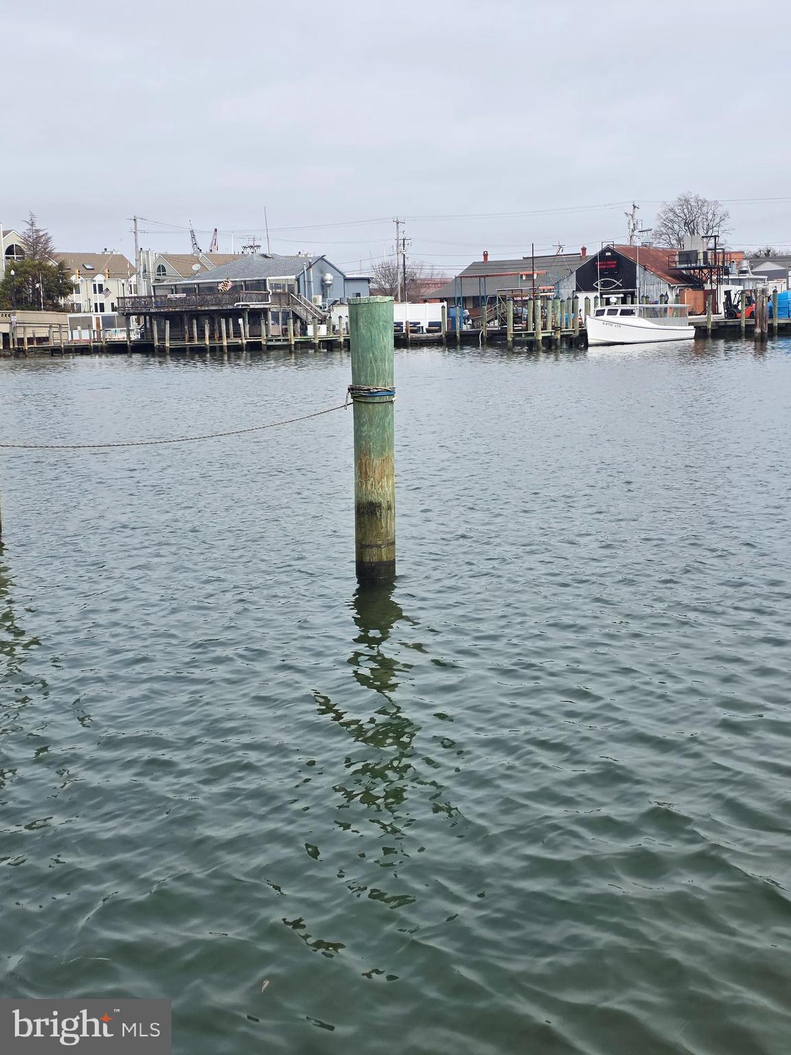 204 MARKET SQUARE 12C