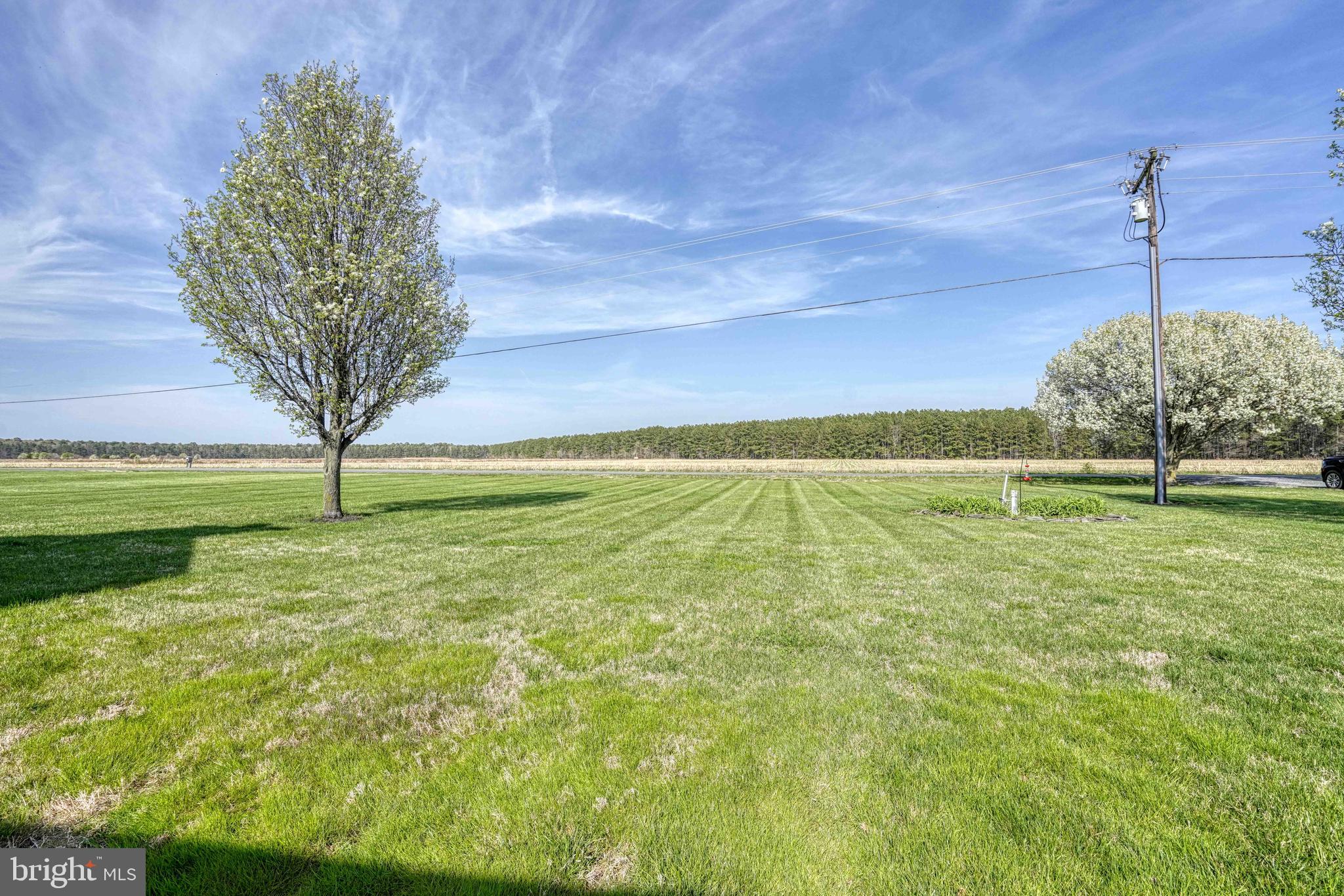 1911 DAILSVILLE ROAD