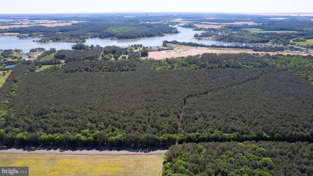 TAYLORS ISLAND