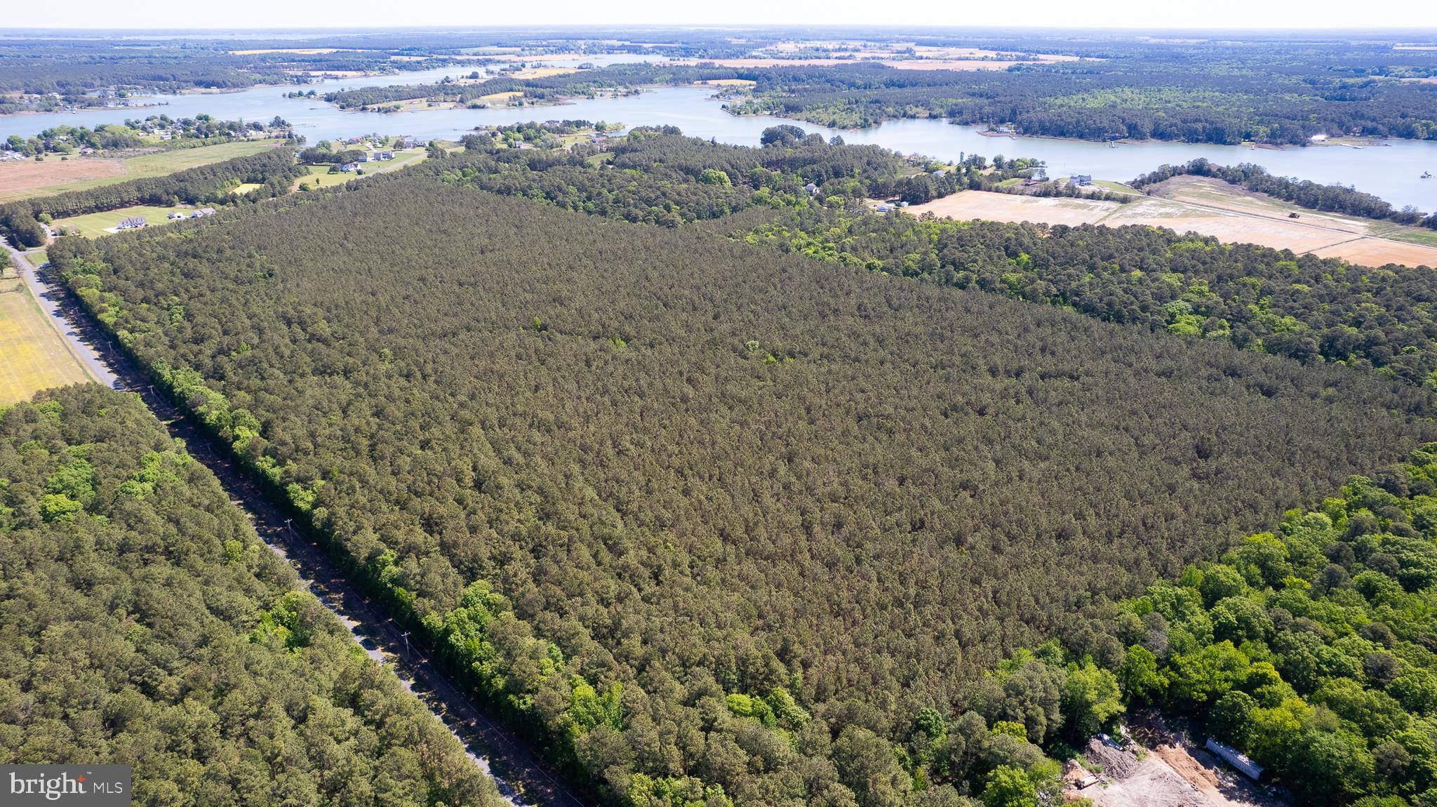 TAYLORS ISLAND