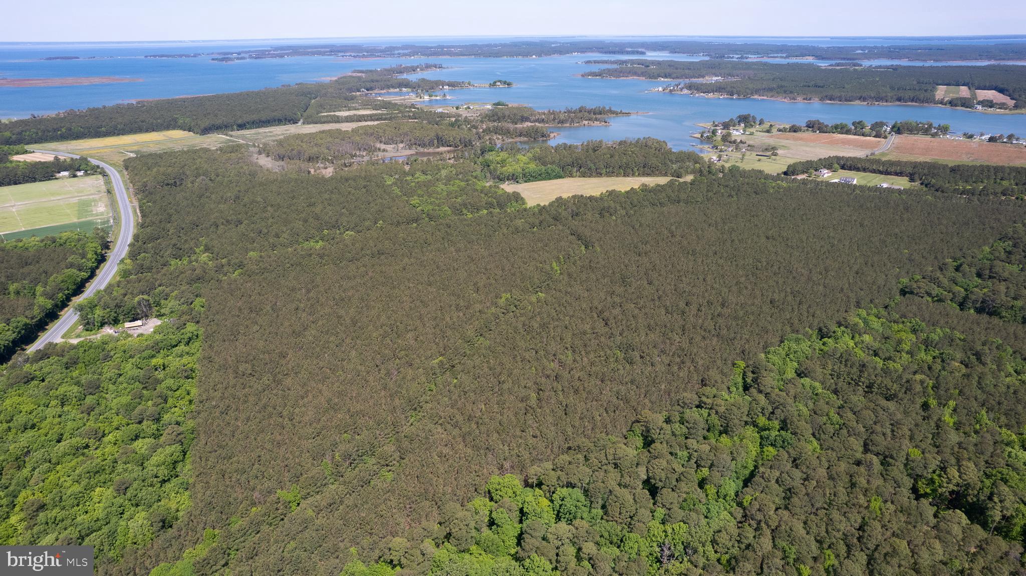 TAYLORS ISLAND