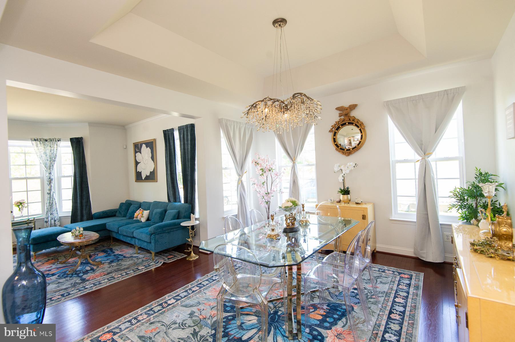 119 REGULATOR DRIVE N