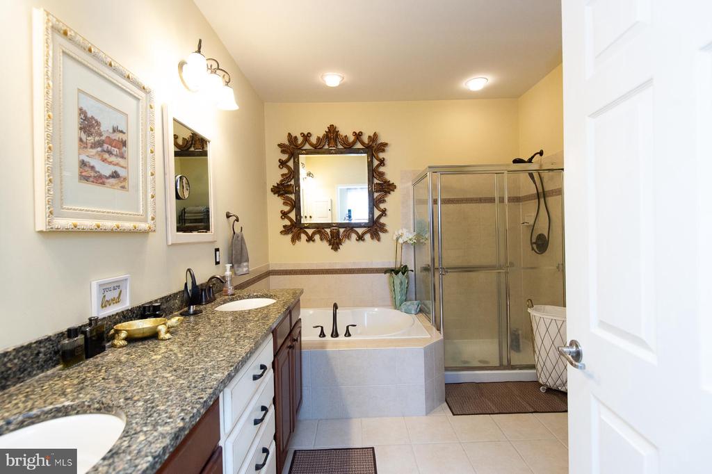 119 REGULATOR DRIVE N