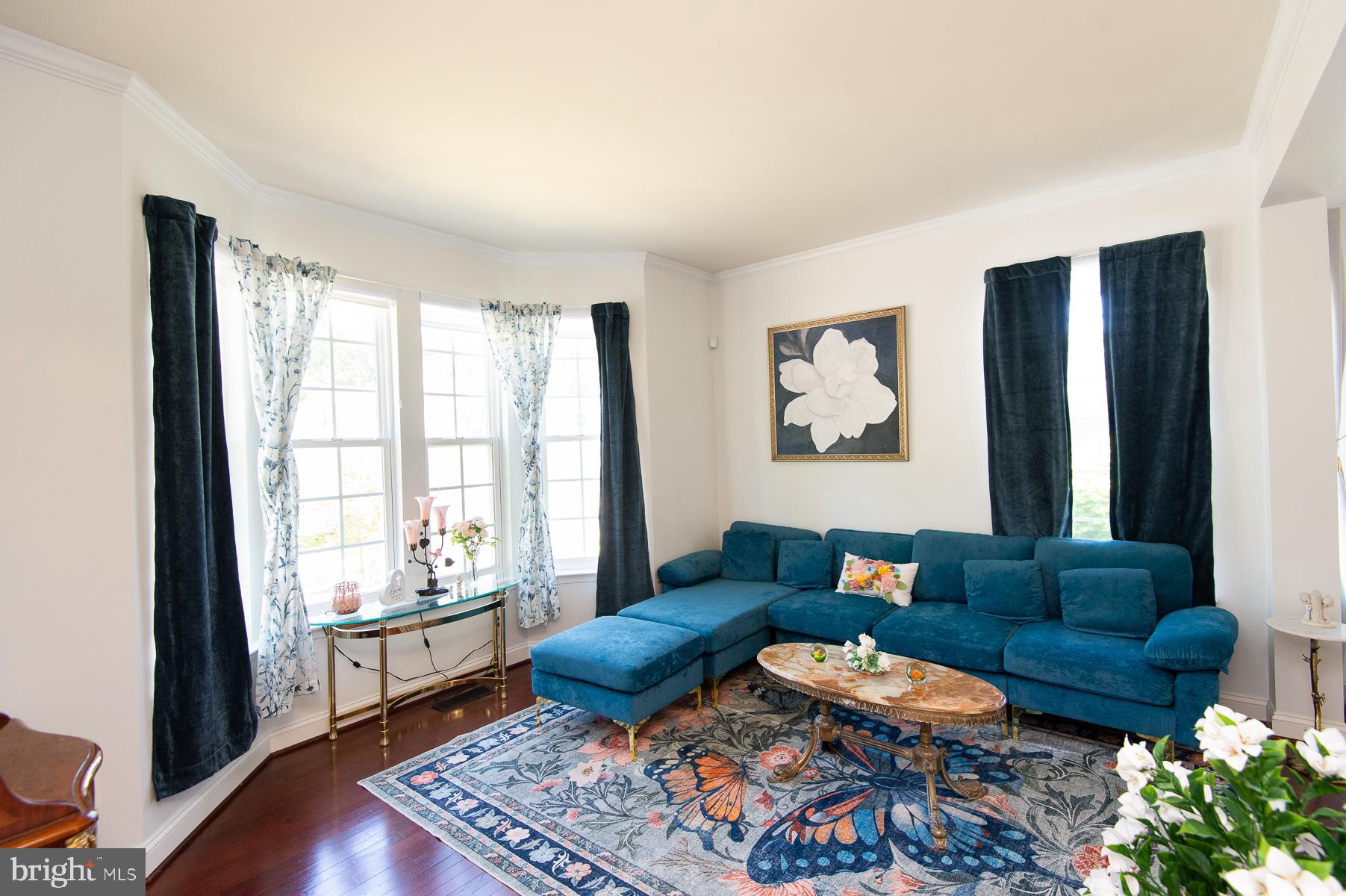 119 REGULATOR DRIVE N