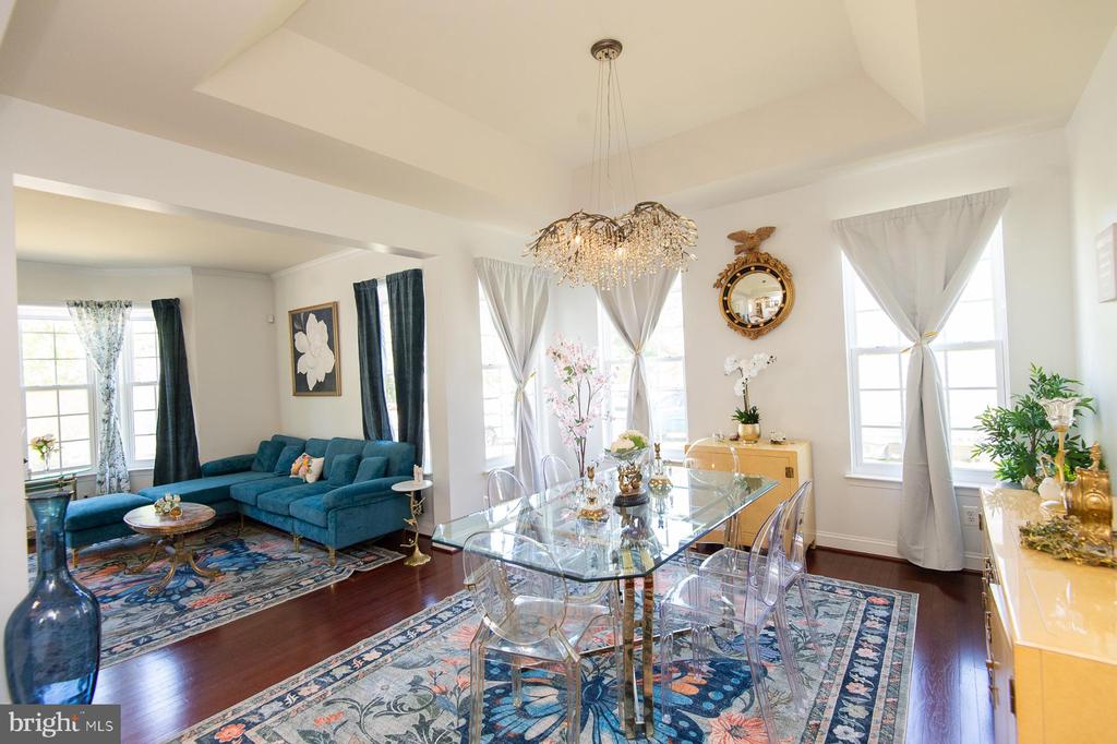 119 REGULATOR DRIVE N
