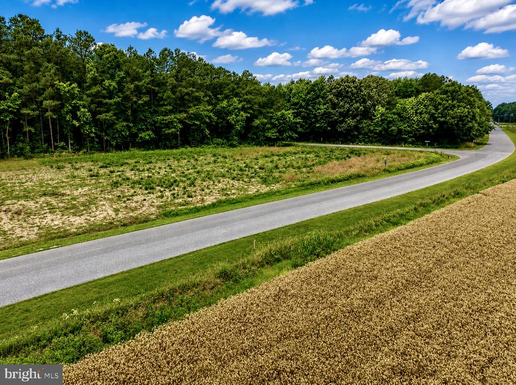 Lot 2 SOUTHSIDE AVENUE