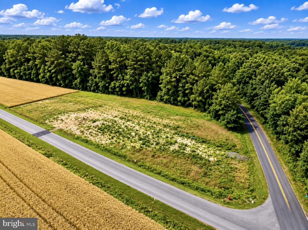 Lot 2 SOUTHSIDE AVENUE