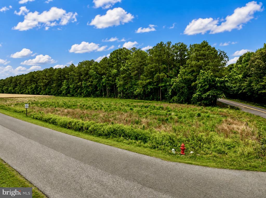 Lot 2 SOUTHSIDE AVENUE