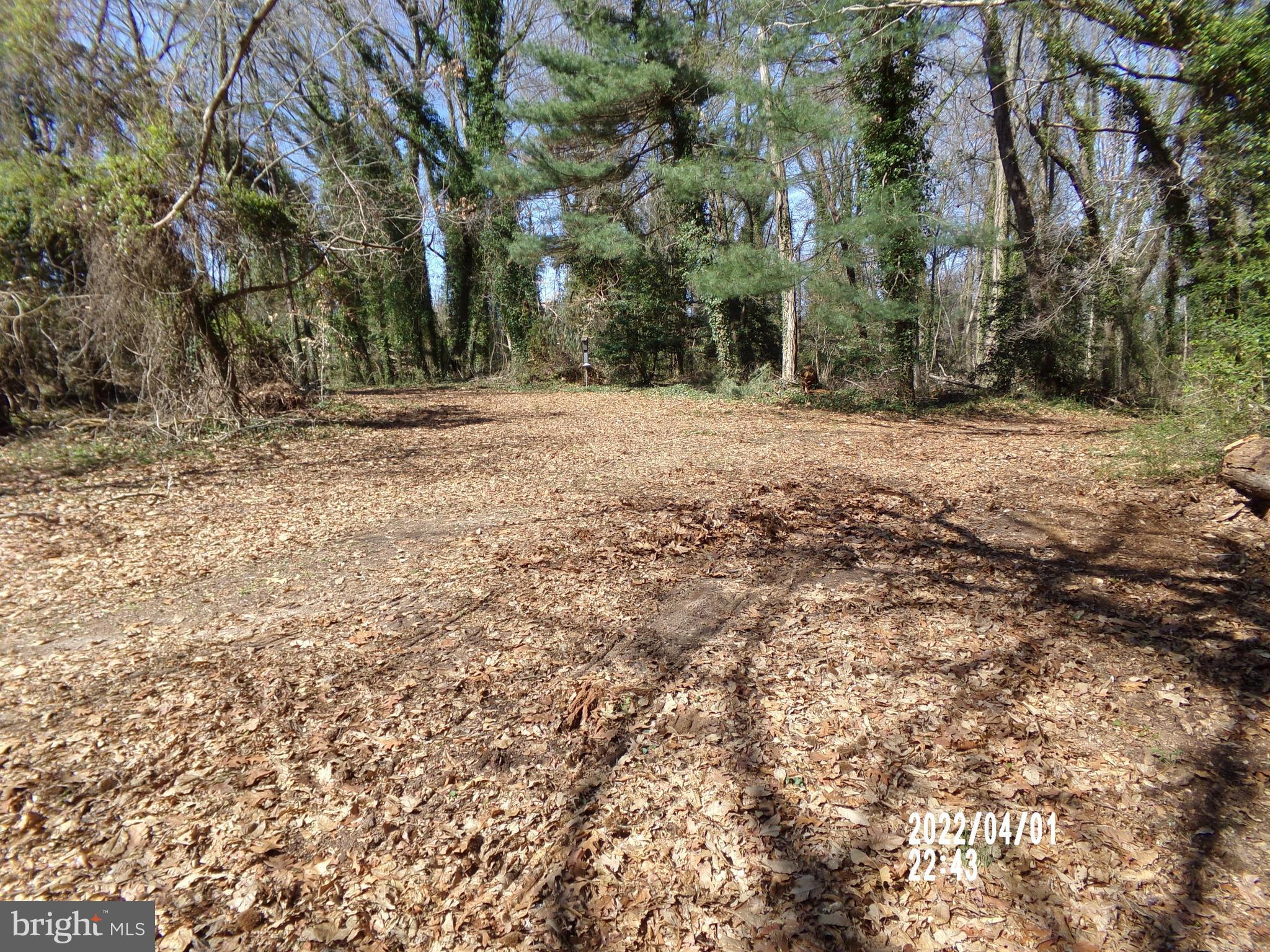 00 Roberts Drive