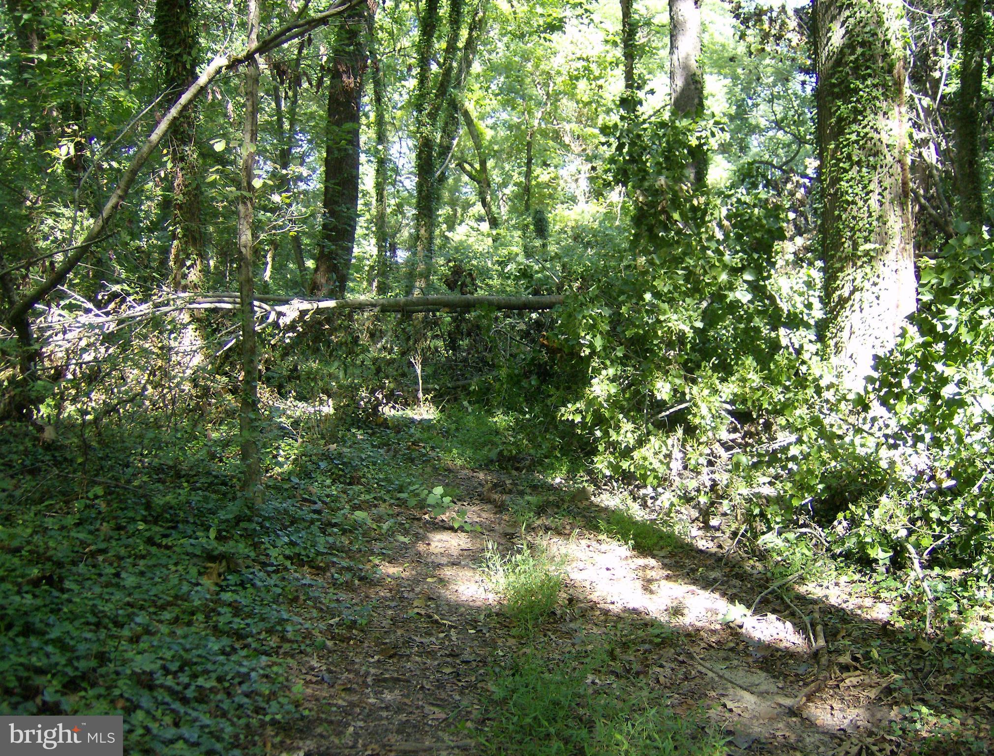 00 Roberts Drive