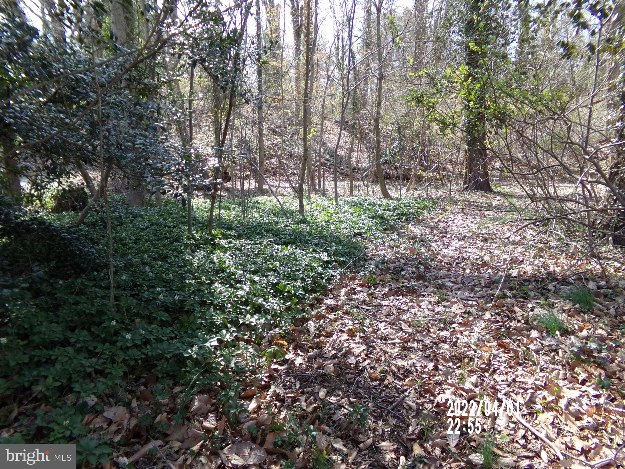 00 Roberts Drive
