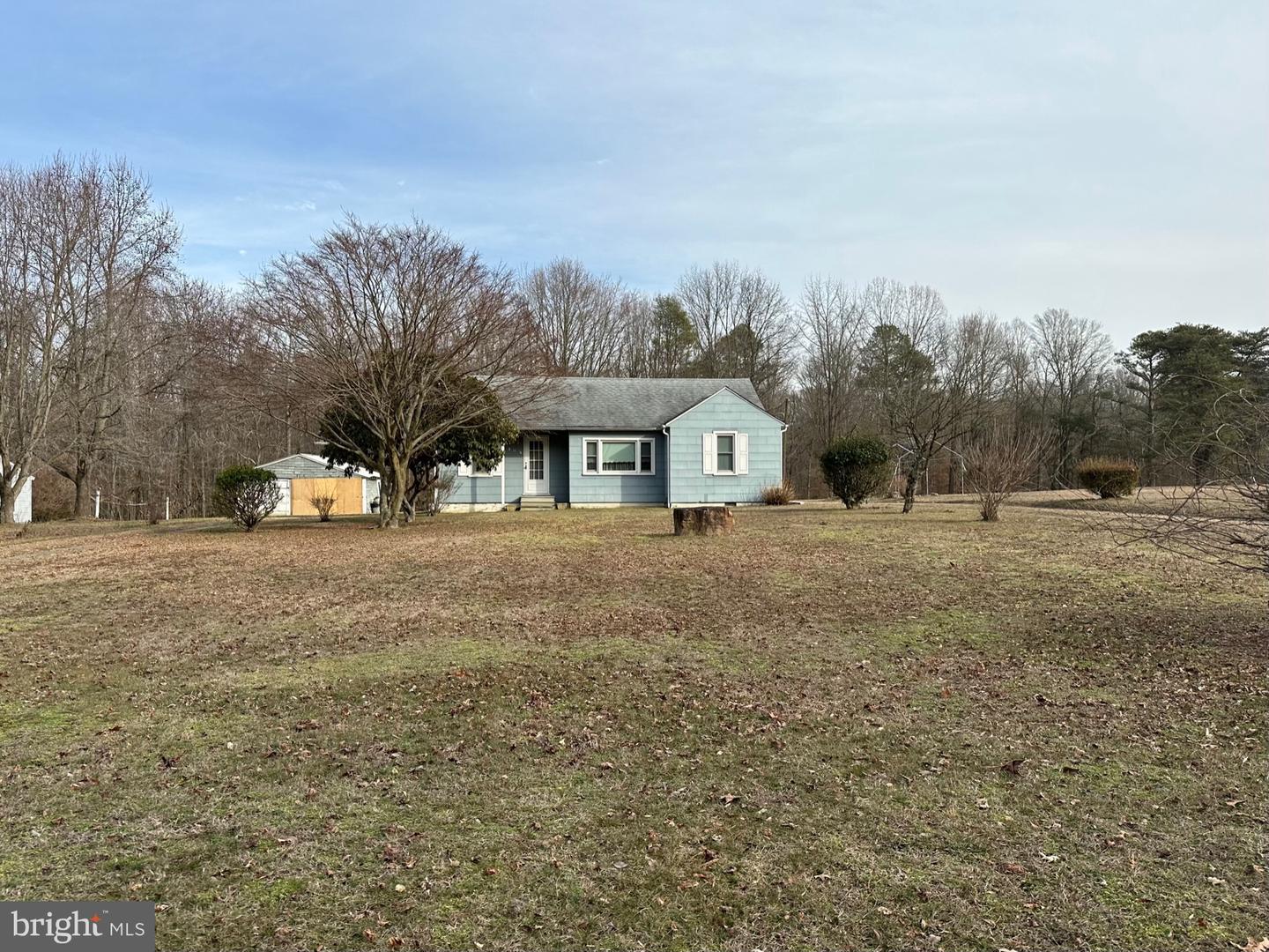 305 Pine Tree Rd