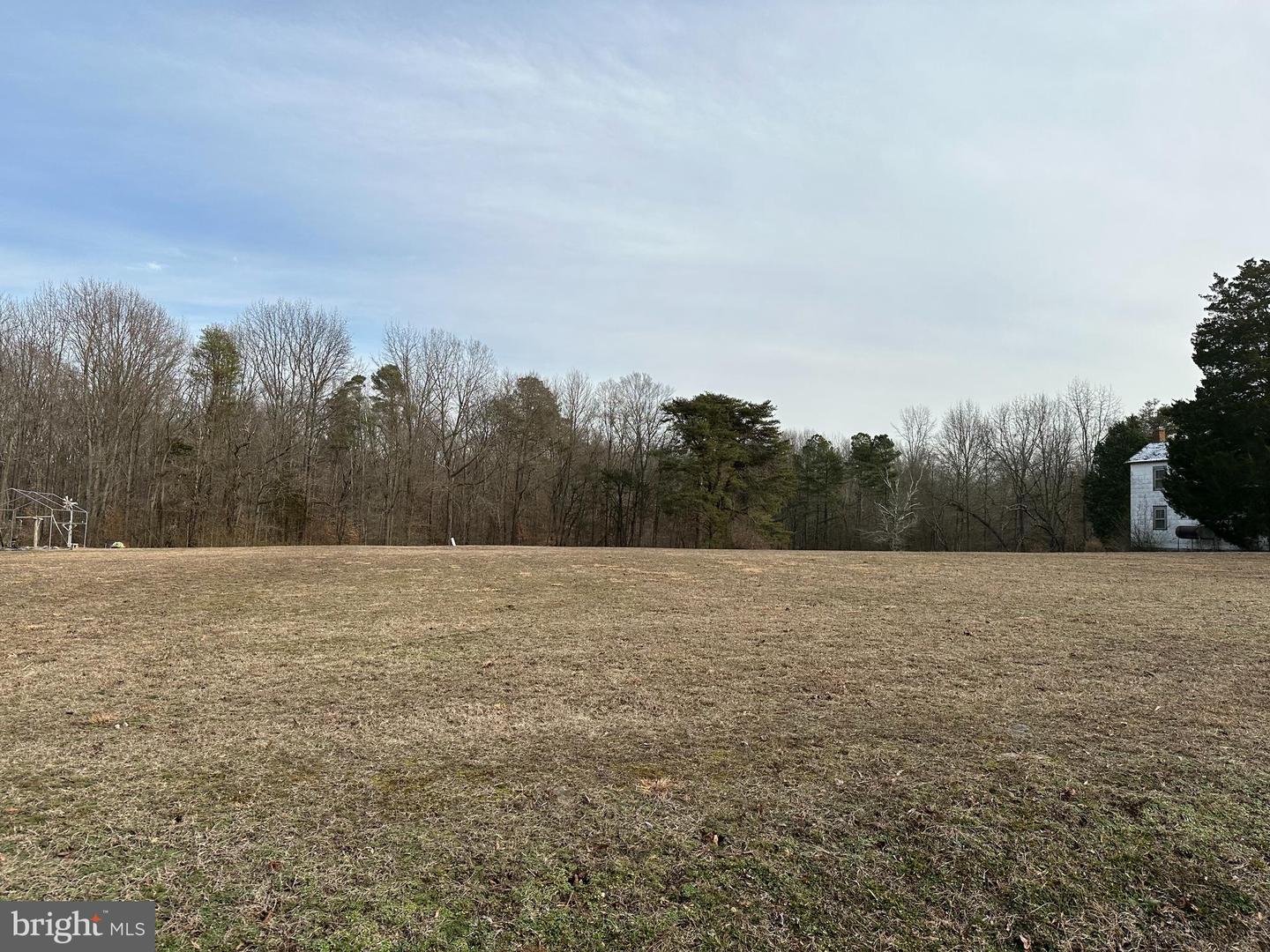 305 Pine Tree Rd