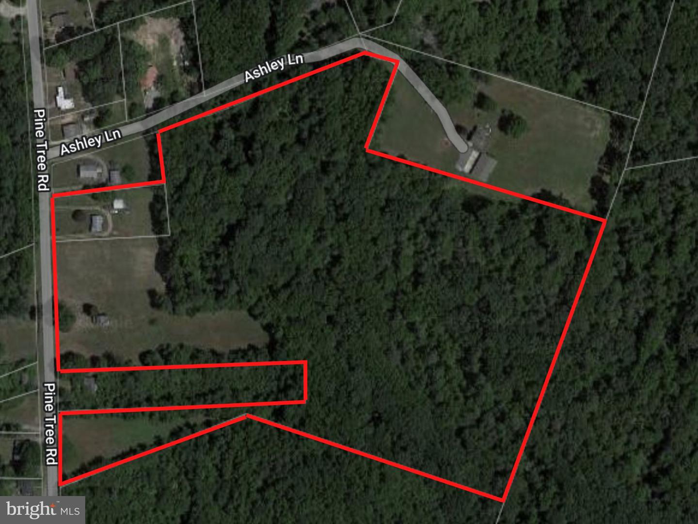 305 Pine Tree Rd
