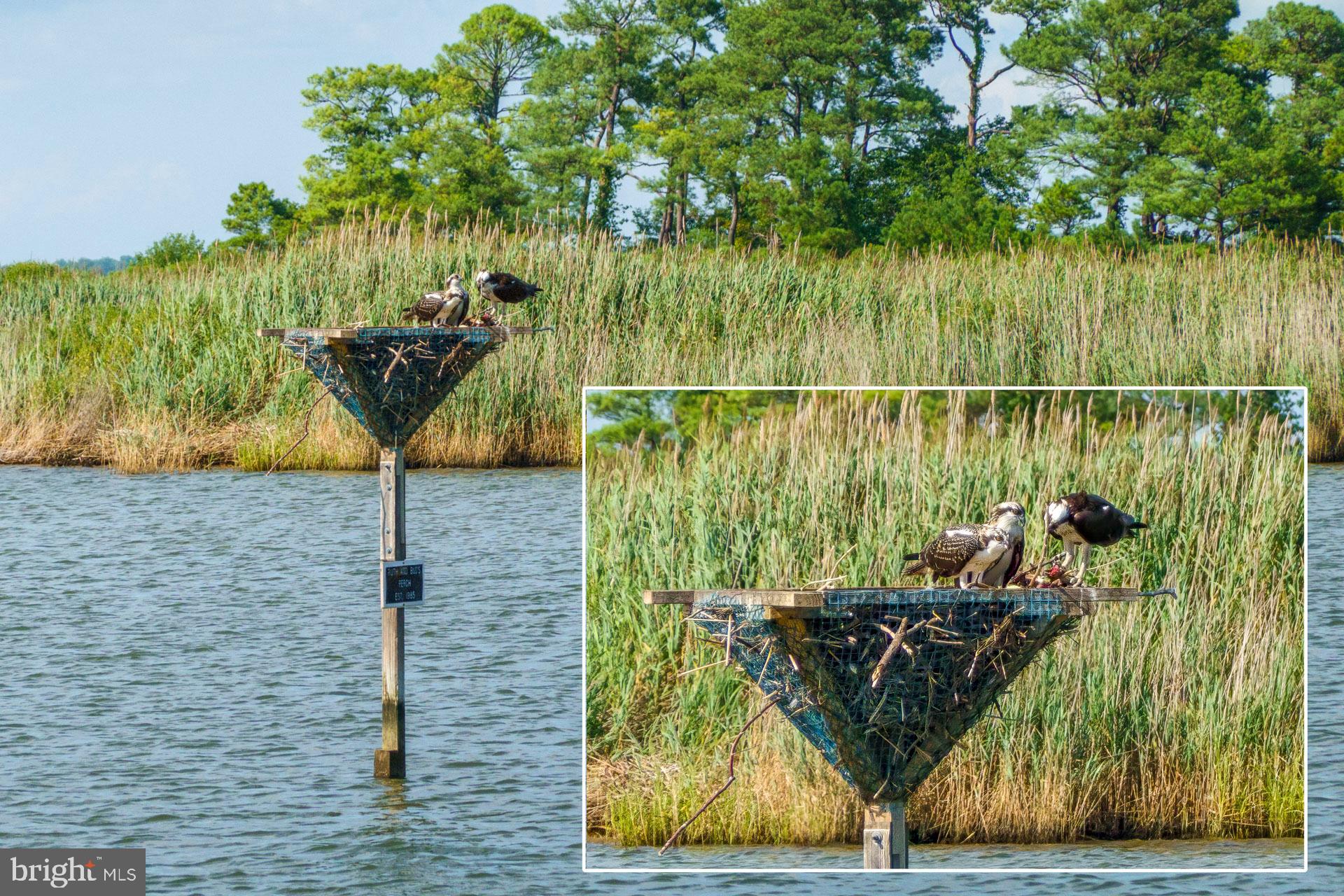 301 Swan Cove Ln #C-1