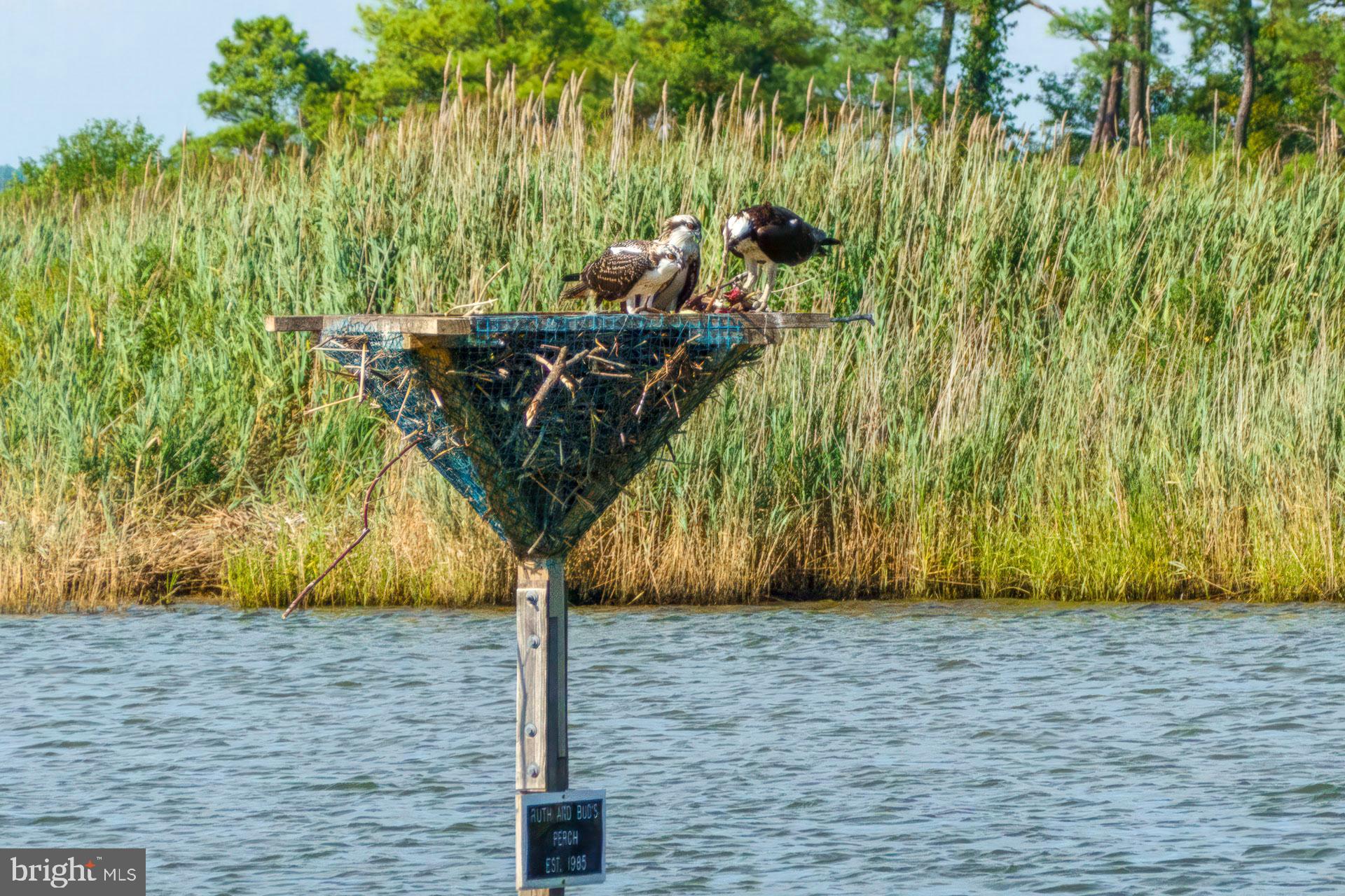 301 Swan Cove Ln #C-1