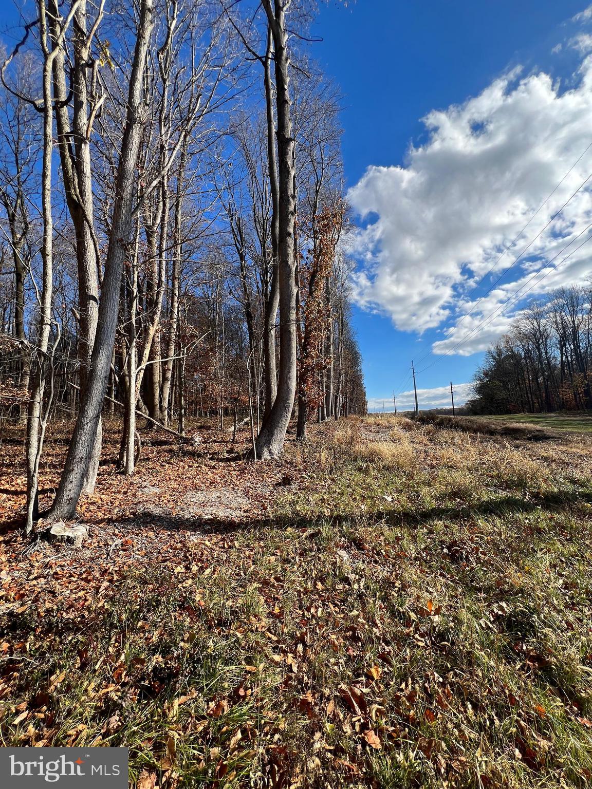 Bloomingdale Rd