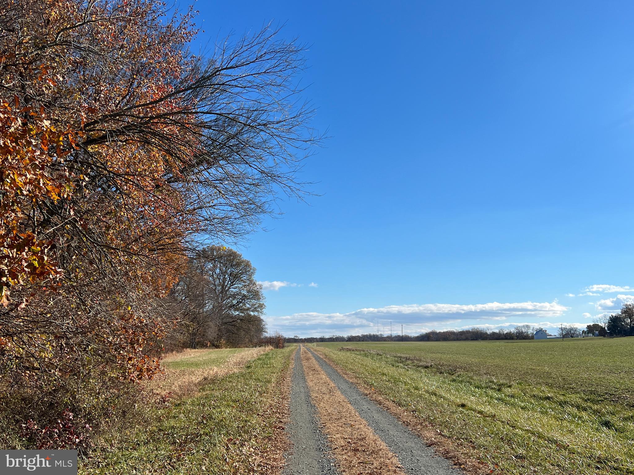 Bloomingdale Rd