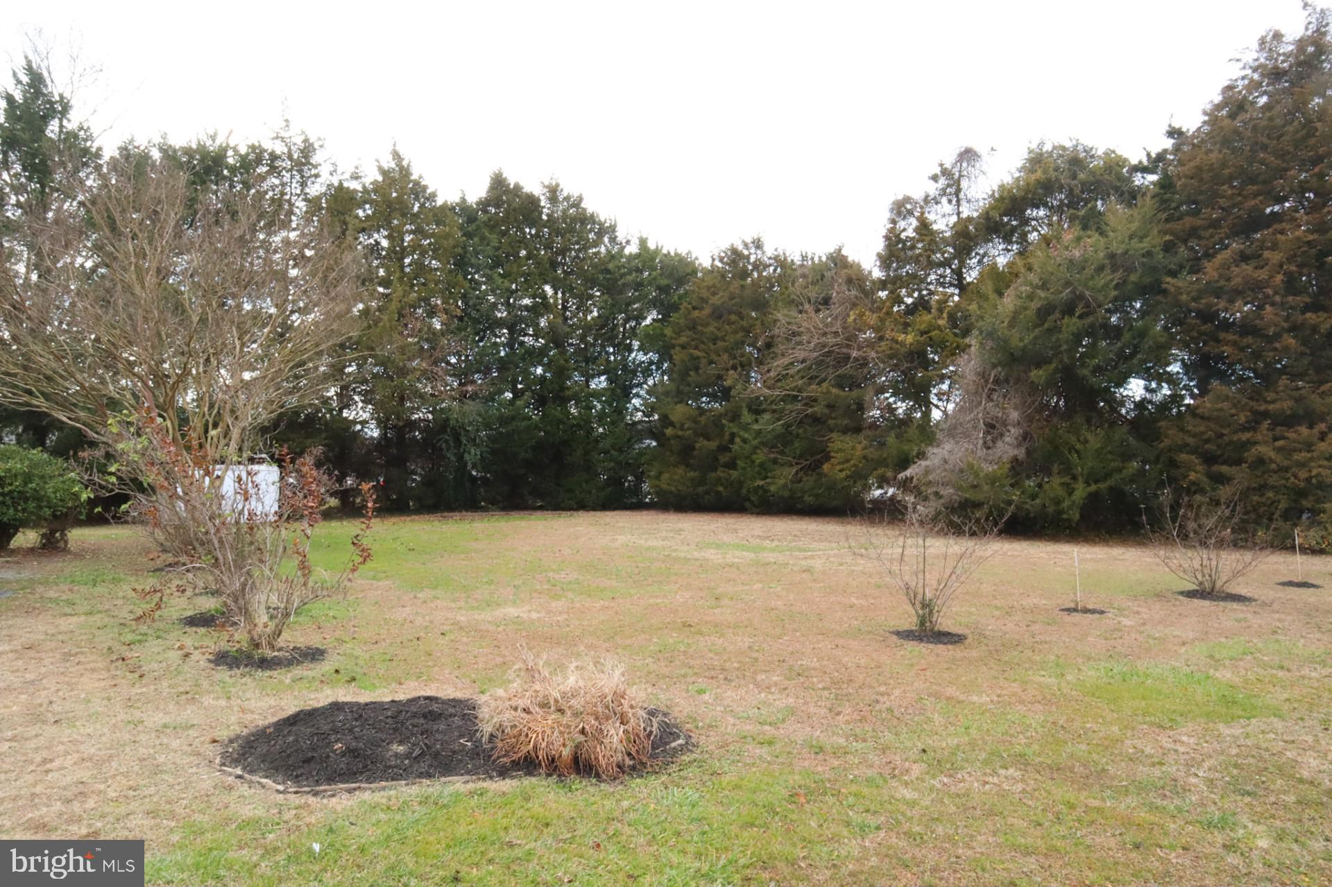 100 Pine Dr