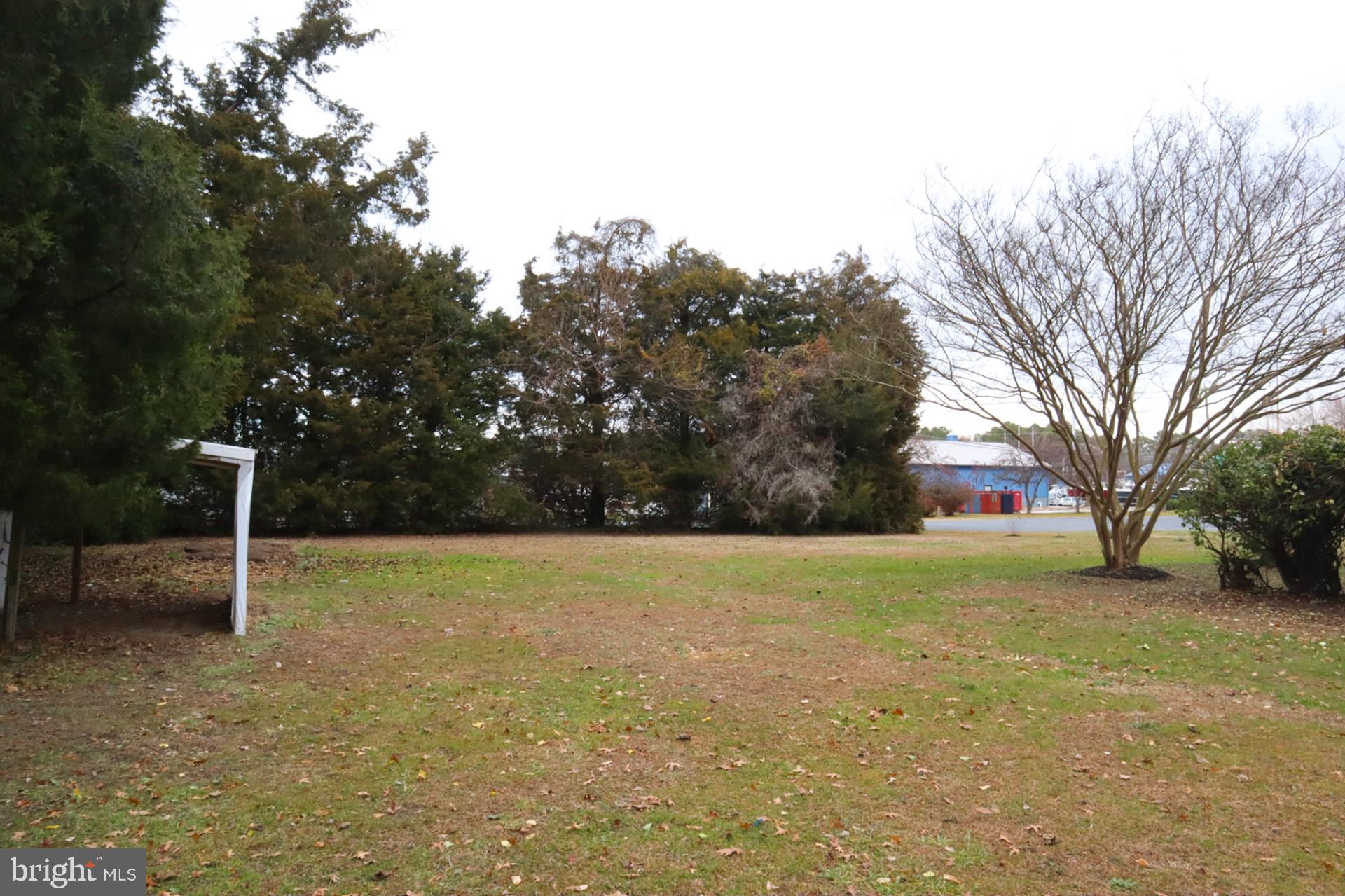 100 Pine Dr