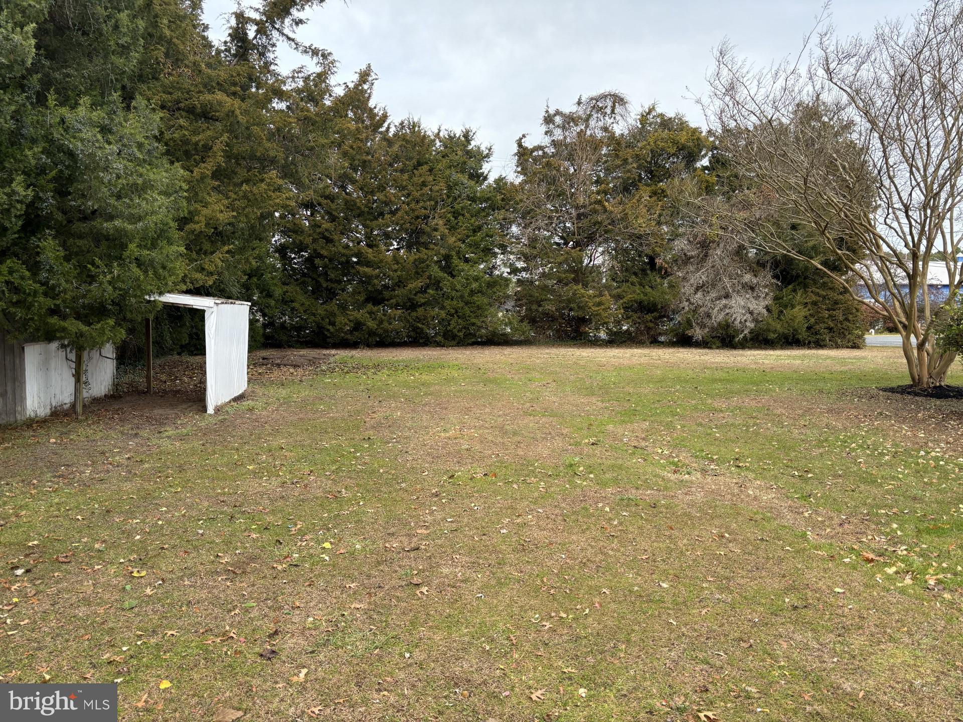 100 Pine Dr