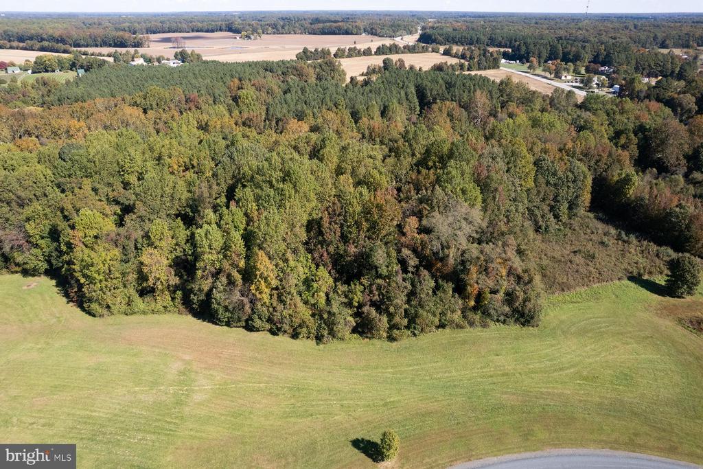 Finley Creek Dr