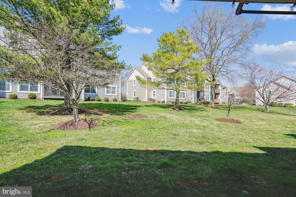 202 Ringneck Ct