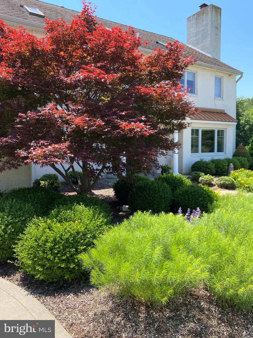 200 Mallard Cove Ln