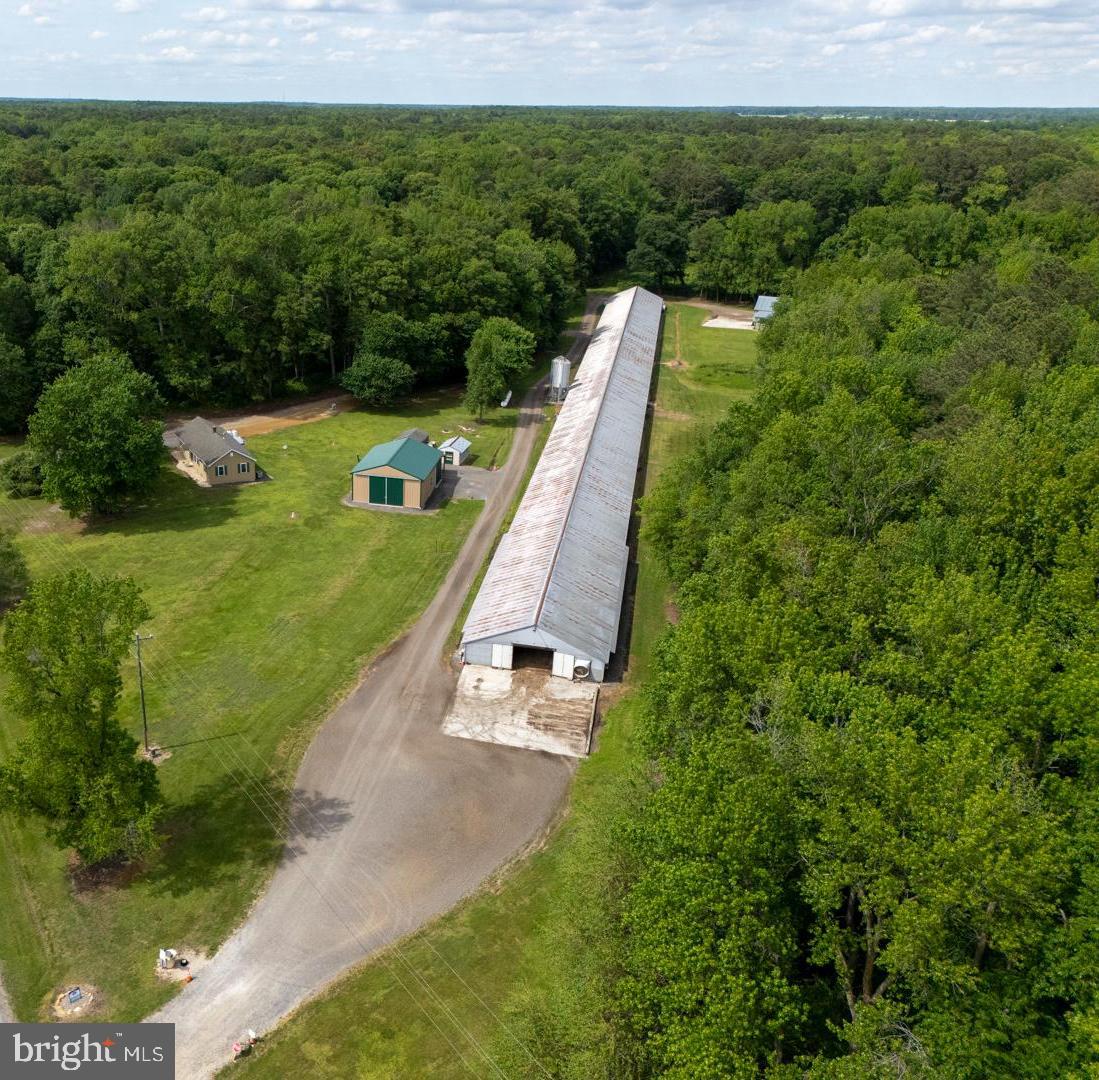 1801 Starr Rd