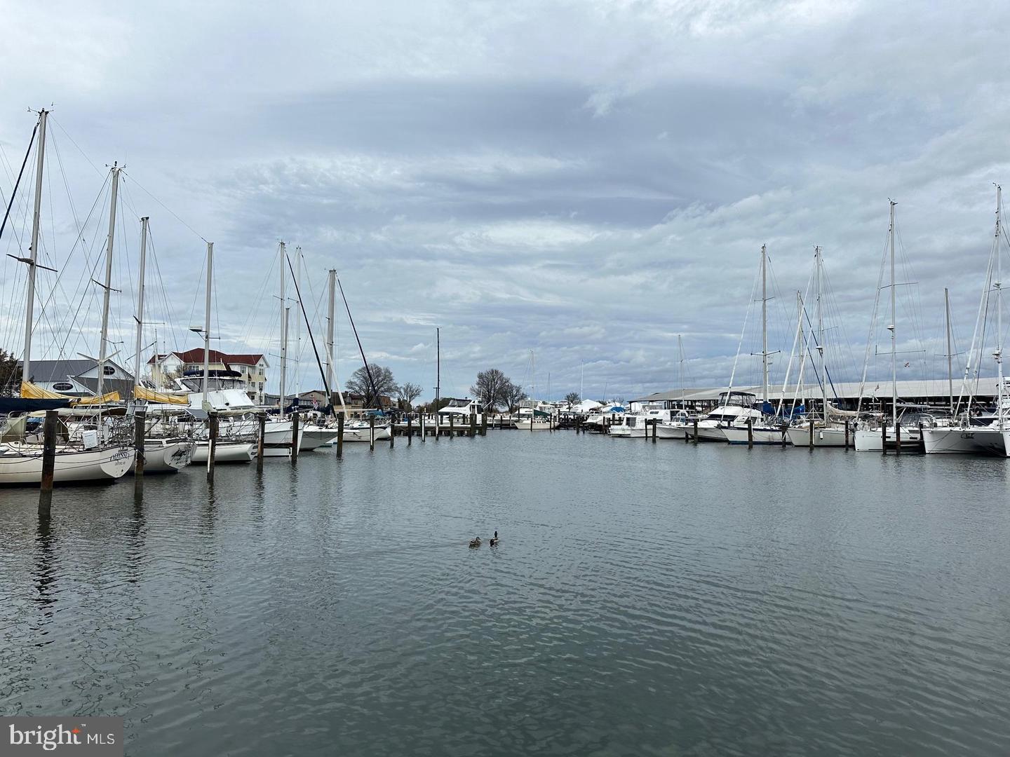 5-C Piney Narrows Rd