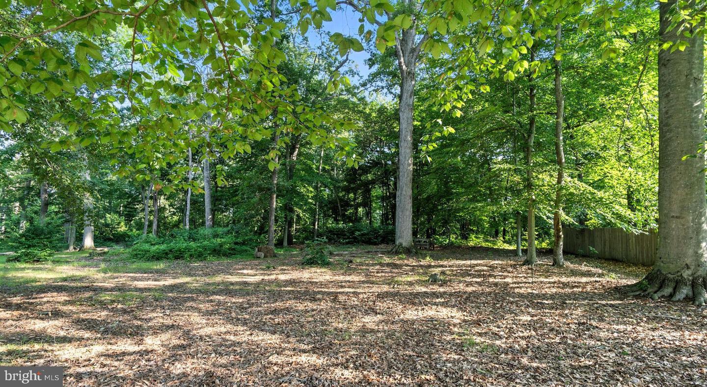 129 White Marsh Rd