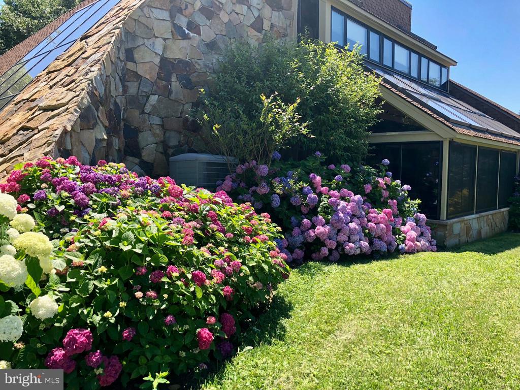 3207 BENNETT POINT ROAD