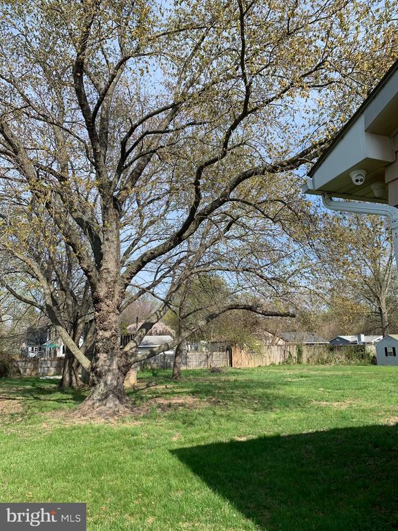 920 CLOVERFIELDS DRIVE