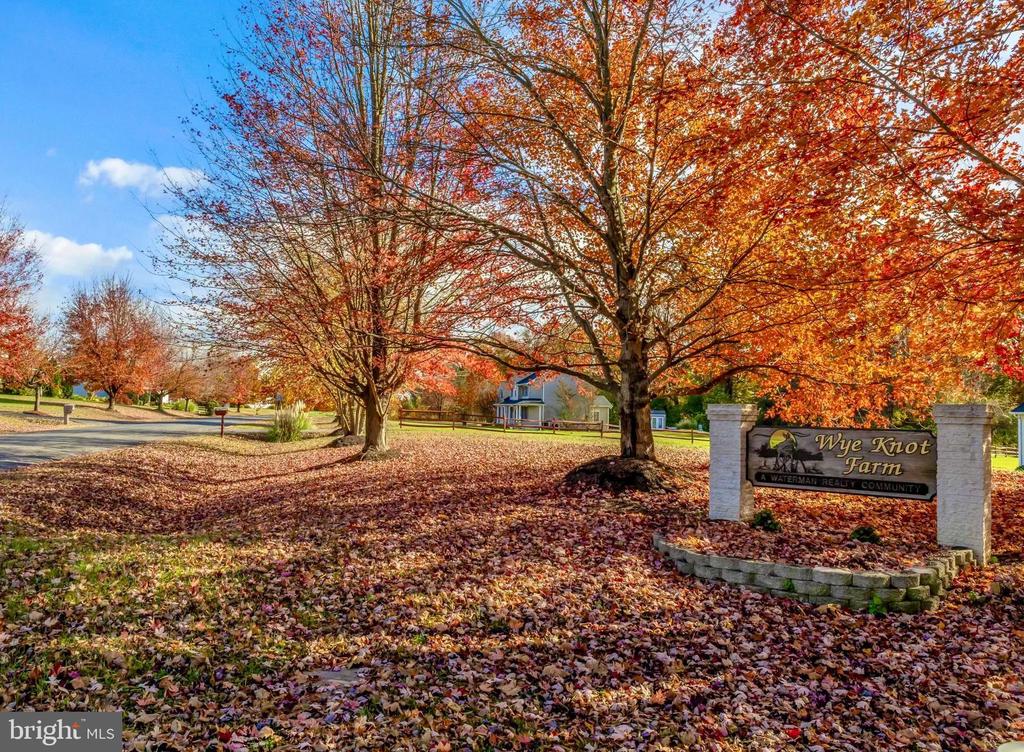 224 WYE KNOT COURT