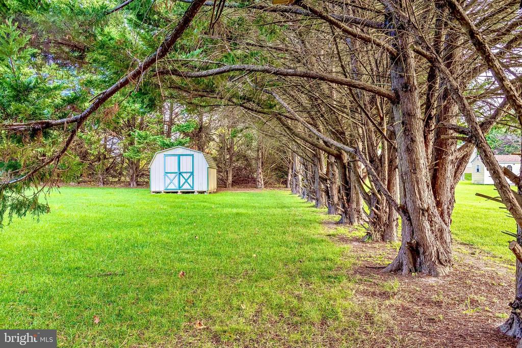 235 WYE KNOT COURT