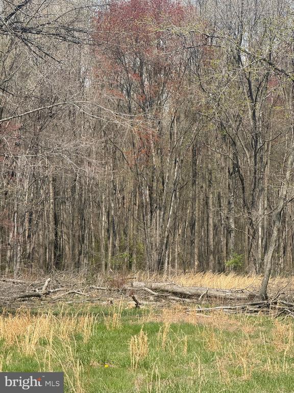 BARCLAY CUTOFF ROAD PARCEL 132
