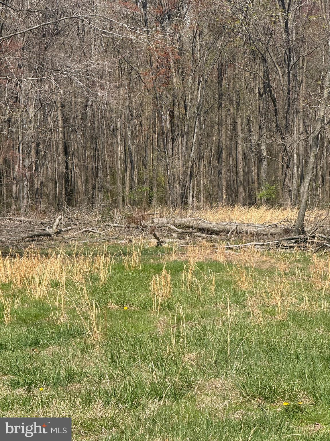 BARCLAY CUTOFF ROAD PARCEL 132