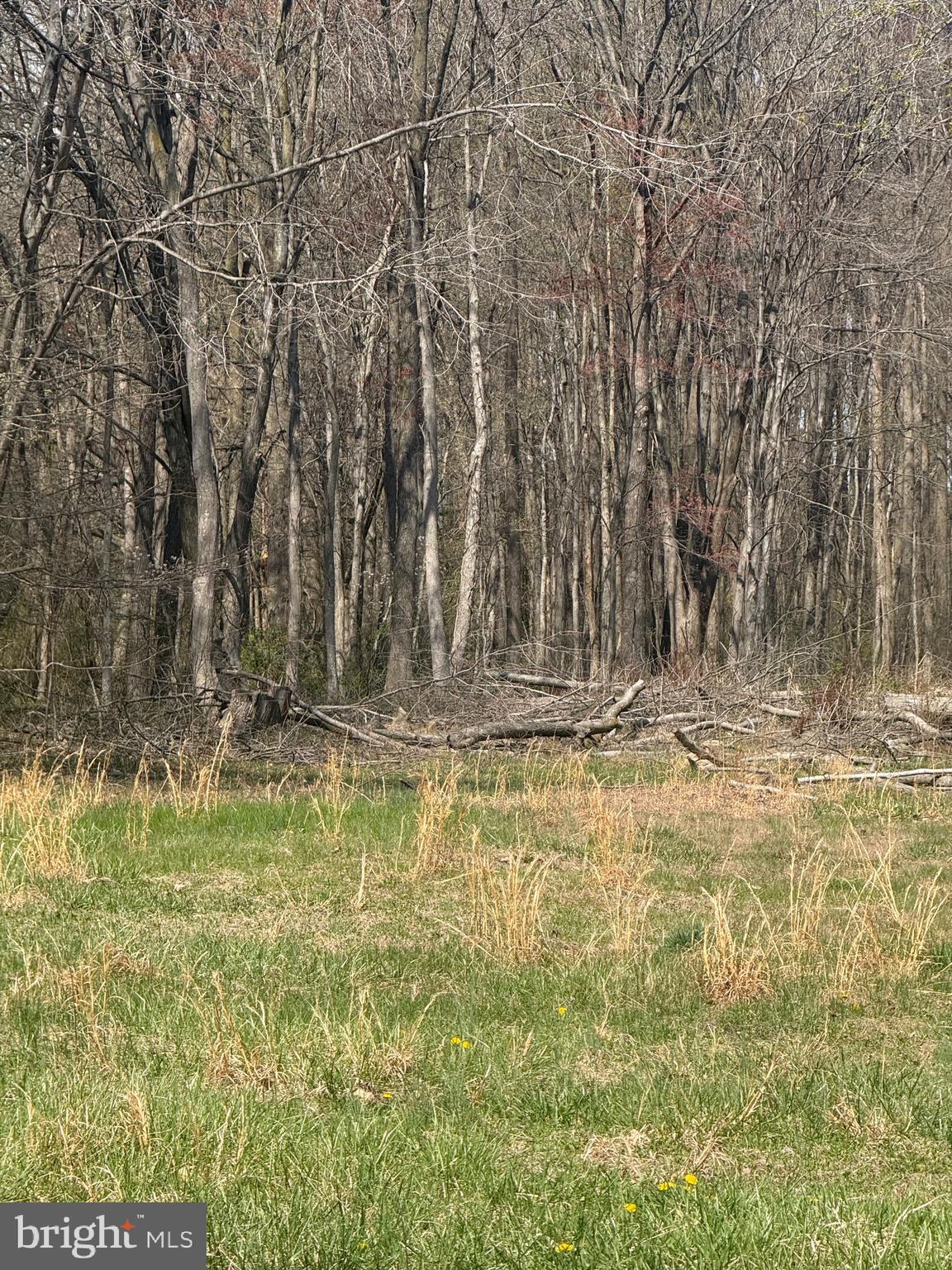 BARCLAY CUTOFF ROAD PARCEL 132