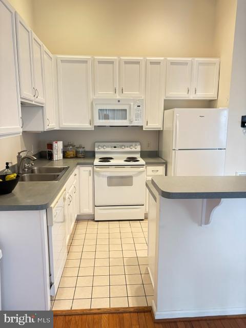 114 MERGANSER COURT