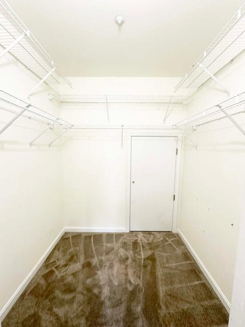 114 MERGANSER COURT