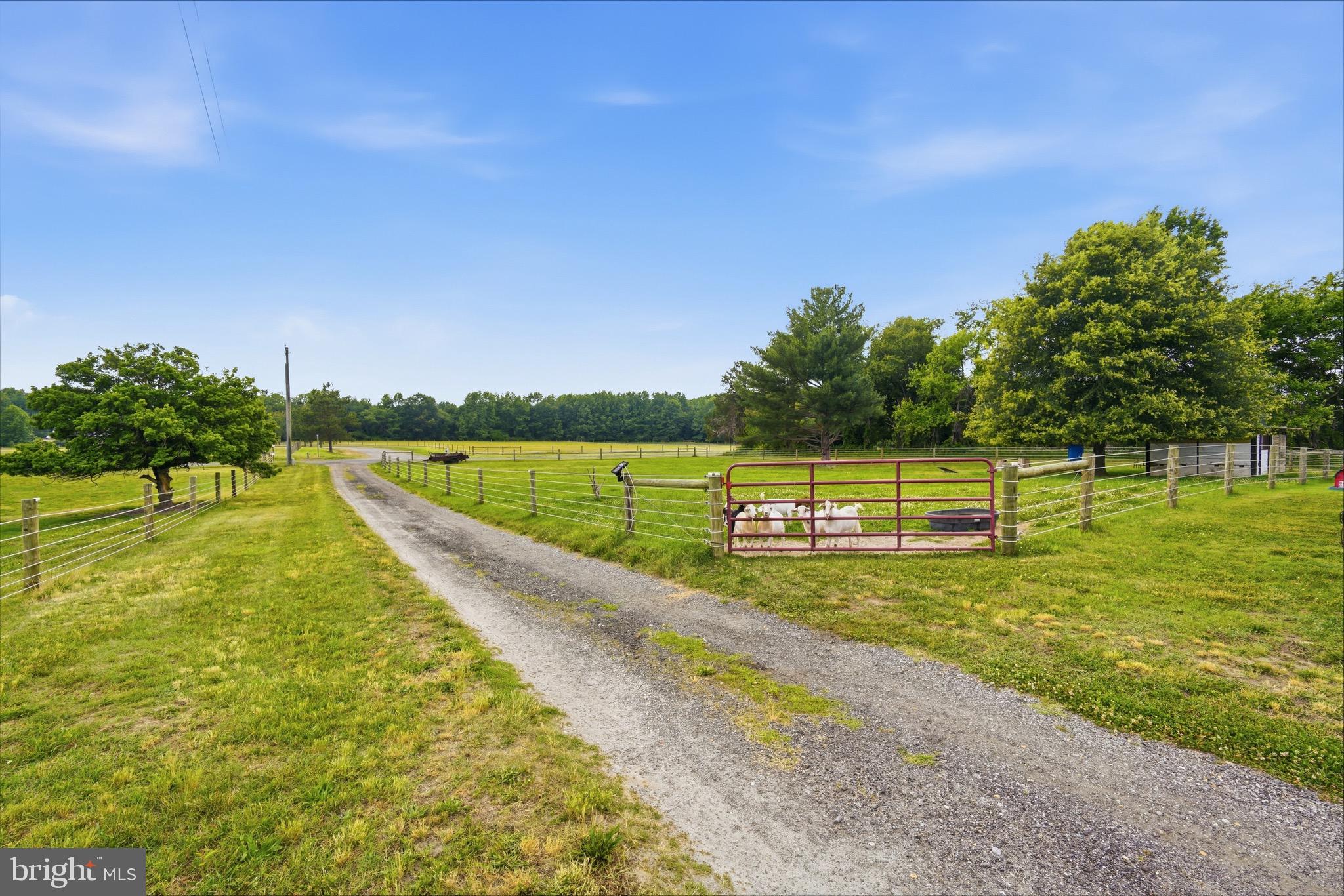 420 DUHAMEL CORNER ROAD