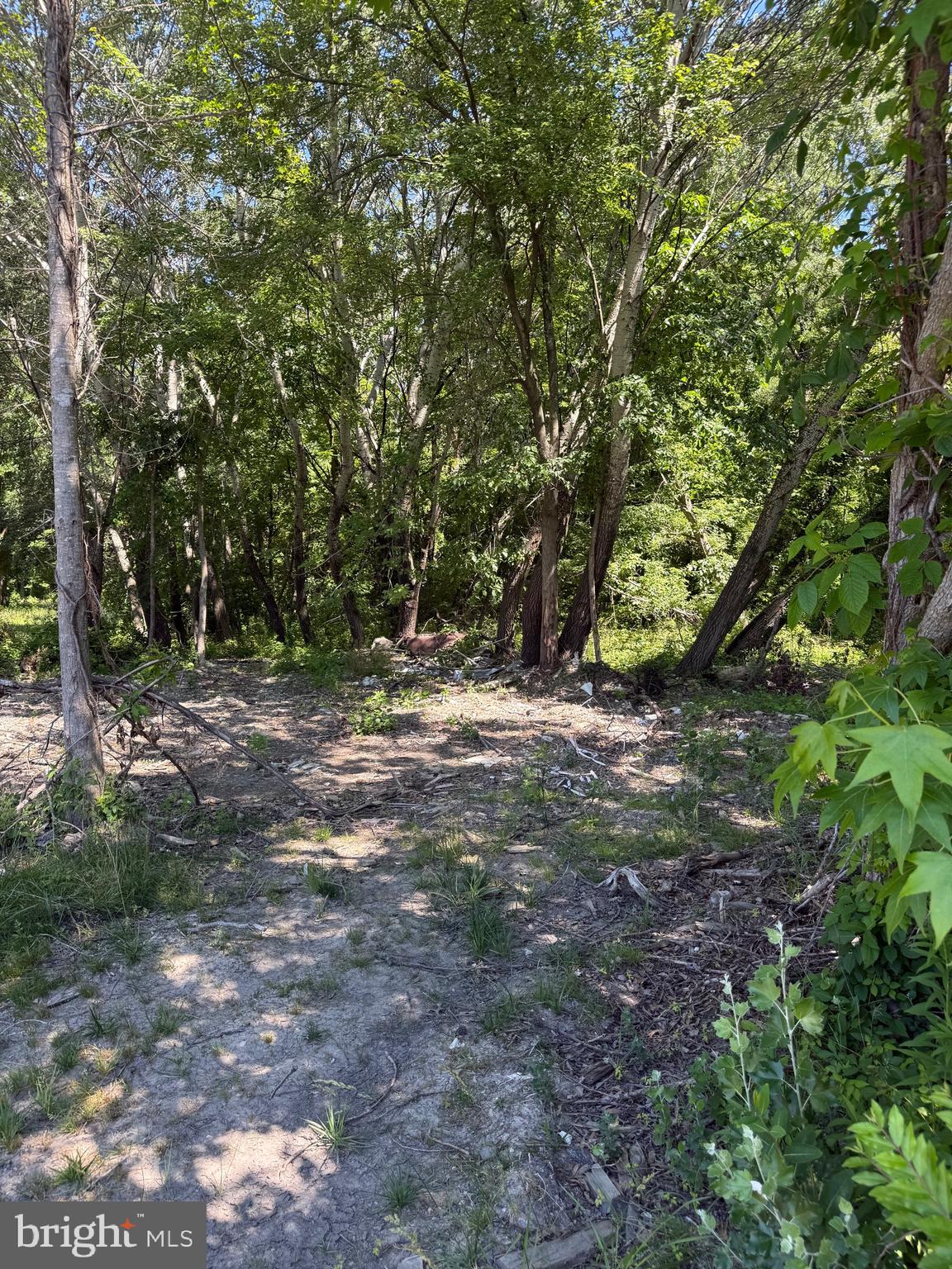 105 BARCLAY CUTOFF ROAD