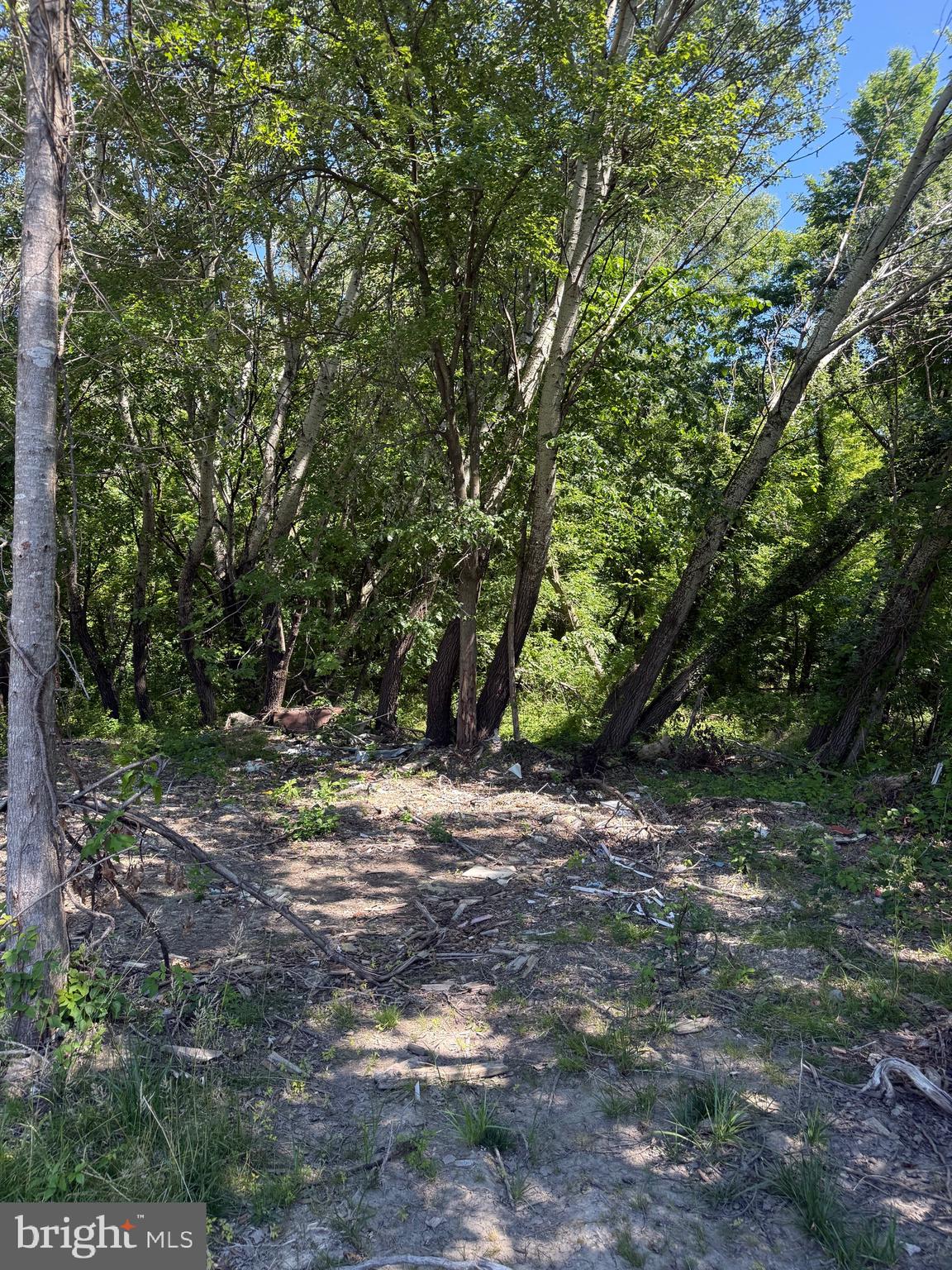105 BARCLAY CUTOFF ROAD