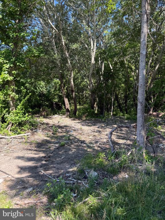 105 BARCLAY CUTOFF ROAD
